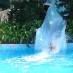 3435430136